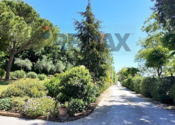 Giardino - Villa Ancona - foto 78