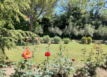Giardino - Villa Ancona - foto 79