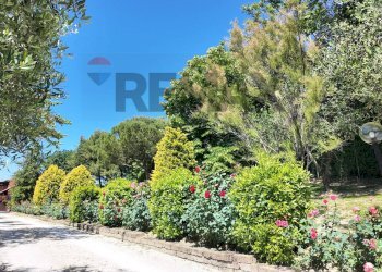Giardino - Villa Ancona - foto 81
