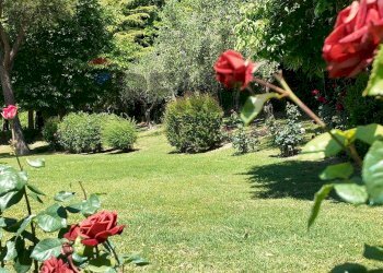 Giardino - Villa Ancona - foto 83