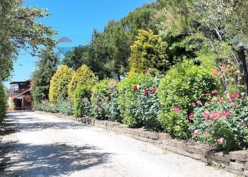 Giardino - Villa Ancona - foto 84