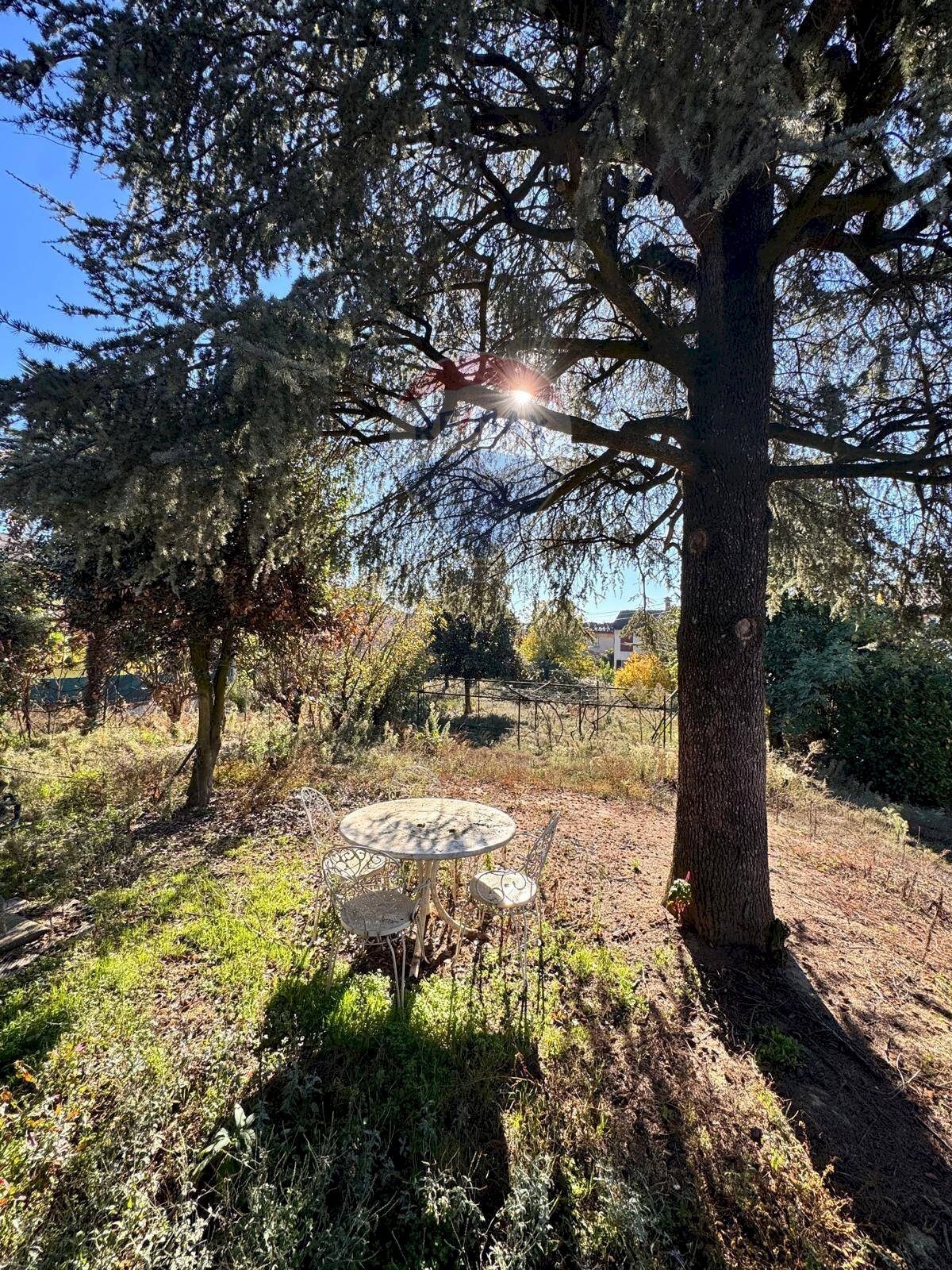 Giardino - Villa Via Roma
 
30, Inverno e Monteleone - foto 2