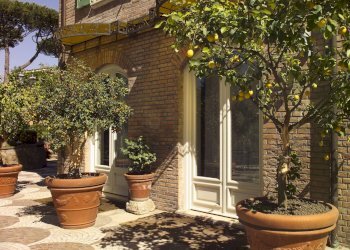 Foto 29 - Hotel Via Anagnina
 
10, Grottaferrata - photo 29