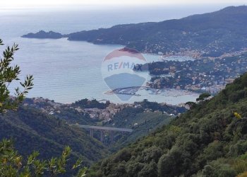Panorami marini - Trilocale Via San Girolamo Emiliani
 
14, Rapallo - foto 29