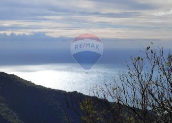 Panorami marini - Trilocale Via San Girolamo Emiliani
 
14, Rapallo - foto 30