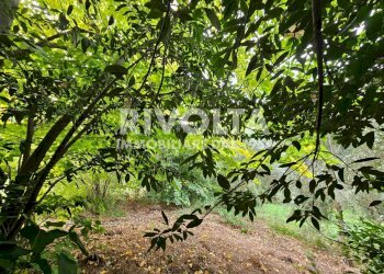 Foto 27 - Villa strada di santa maria la rocca, Terni - foto 27