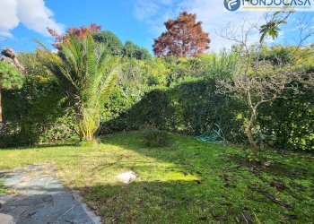 giardino - Villa a Schiera Via Tonfano
182, Pietrasanta - foto 38