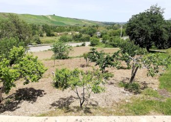 Foto 31 - Casa indipendente Contrada Pianospedale
 
69, Gissi - foto 31