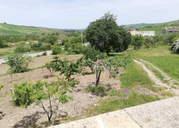 Foto 41 - Casa indipendente Contrada Pianospedale
 
69, Gissi - foto 41