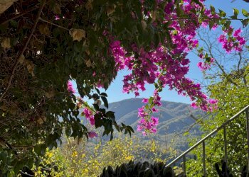 Foto 14 - Villa via Pieve di Rubbiana
 
4, Greve in Chianti - foto 14