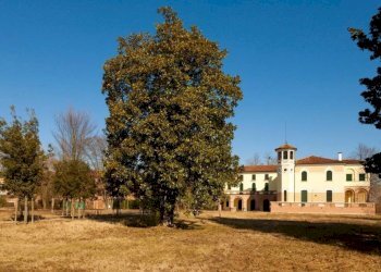 Terreno - Villa Corte Gregolina Già dei Preti, Venezia (zona San Marco) - foto 9