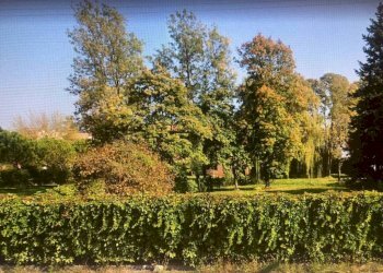 Vista - Villa Corte Gregolina Già dei Preti, Venezia (zona San Marco) - foto 19