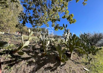 Foto 39 - Villa Corso Primo Maggio, Scafa - foto 39