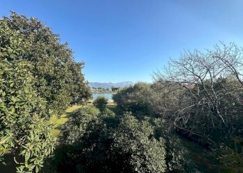 am31.jpg - Terratetto - Terracielo Ameglia - foto 10