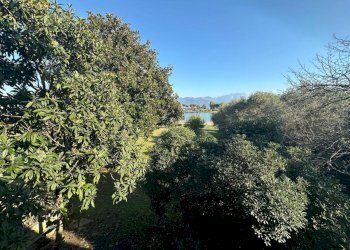 am32.jpg - Terratetto - Terracielo Ameglia - foto 11