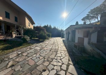 am2.jpg - Terratetto - Terracielo Ameglia - foto 15