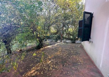 am9.jpg - Terratetto - Terracielo Ameglia - foto 22