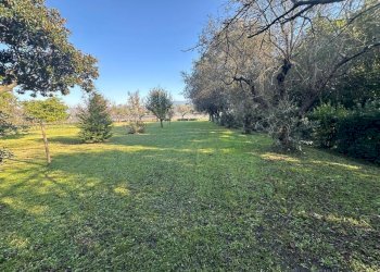 am10.jpg - Terratetto - Terracielo Ameglia - foto 23