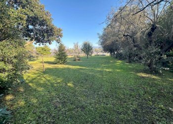 am11.jpg - Terratetto - Terracielo Ameglia - foto 24