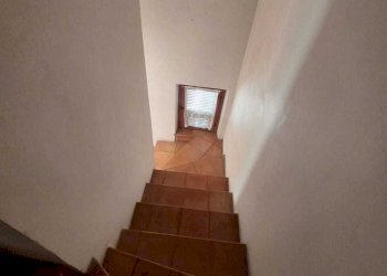 am16.jpg - Terratetto - Terracielo Ameglia - foto 16