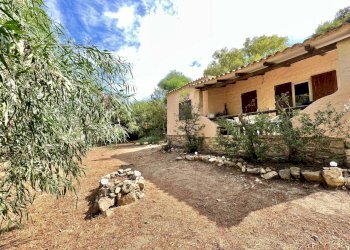 IMG_7231.jpg - Villa Aglientu - foto 15