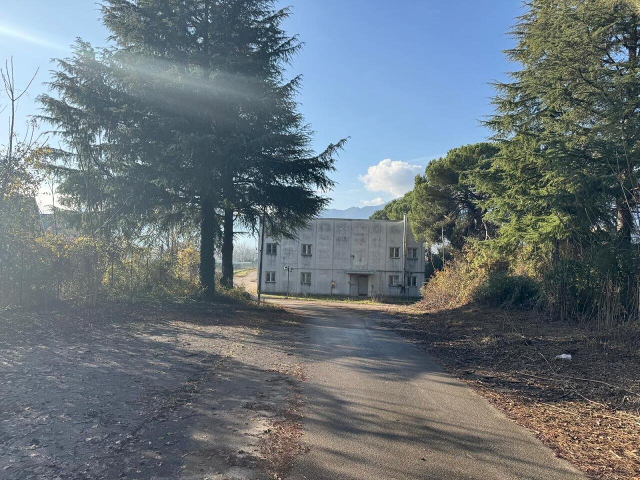 IMG-20251219-WA0031.jpg - Locale Commerciale Via ASI 7 15, Ferentino - foto 2