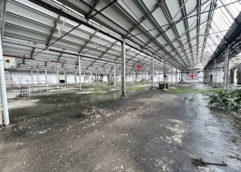 Capannone Milano (zona Lambrate) - foto 2