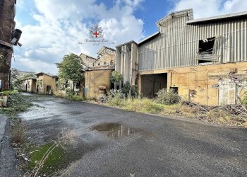 Capannone Milano (zona Lambrate) - foto 16