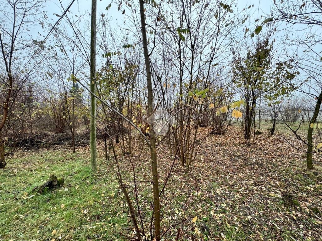 Terreno agricolo Strada galoppatoio, Pinerolo - foto 1