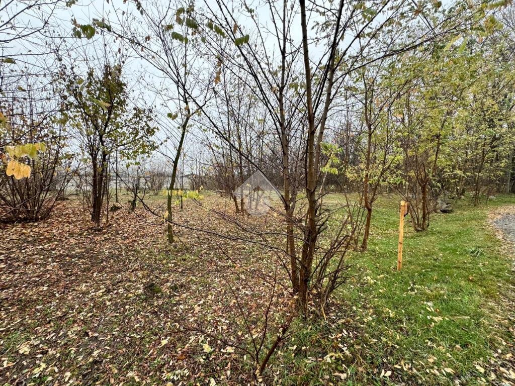 Terreno agricolo Strada galoppatoio, Pinerolo - foto 3