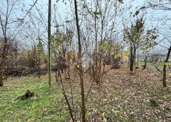 Terreno agricolo Strada galoppatoio, Pinerolo - foto 1