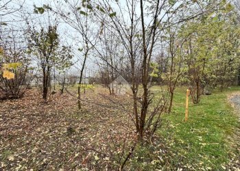 Terreno agricolo Strada galoppatoio, Pinerolo - foto 3