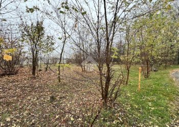 Terreno agricolo Strada galoppatoio, Pinerolo - foto 4
