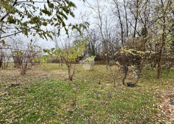 Terreno agricolo Strada galoppatoio, Pinerolo - foto 6