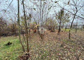 Terreno agricolo Strada galoppatoio, Pinerolo - foto 7