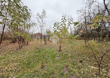 Terreno agricolo Strada galoppatoio, Pinerolo - foto 9