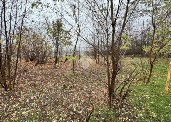 Terreno agricolo Strada galoppatoio, Pinerolo - foto 10