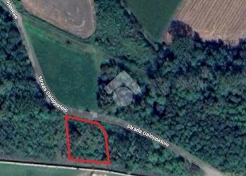 Terreno agricolo Strada galoppatoio, Pinerolo - foto 11