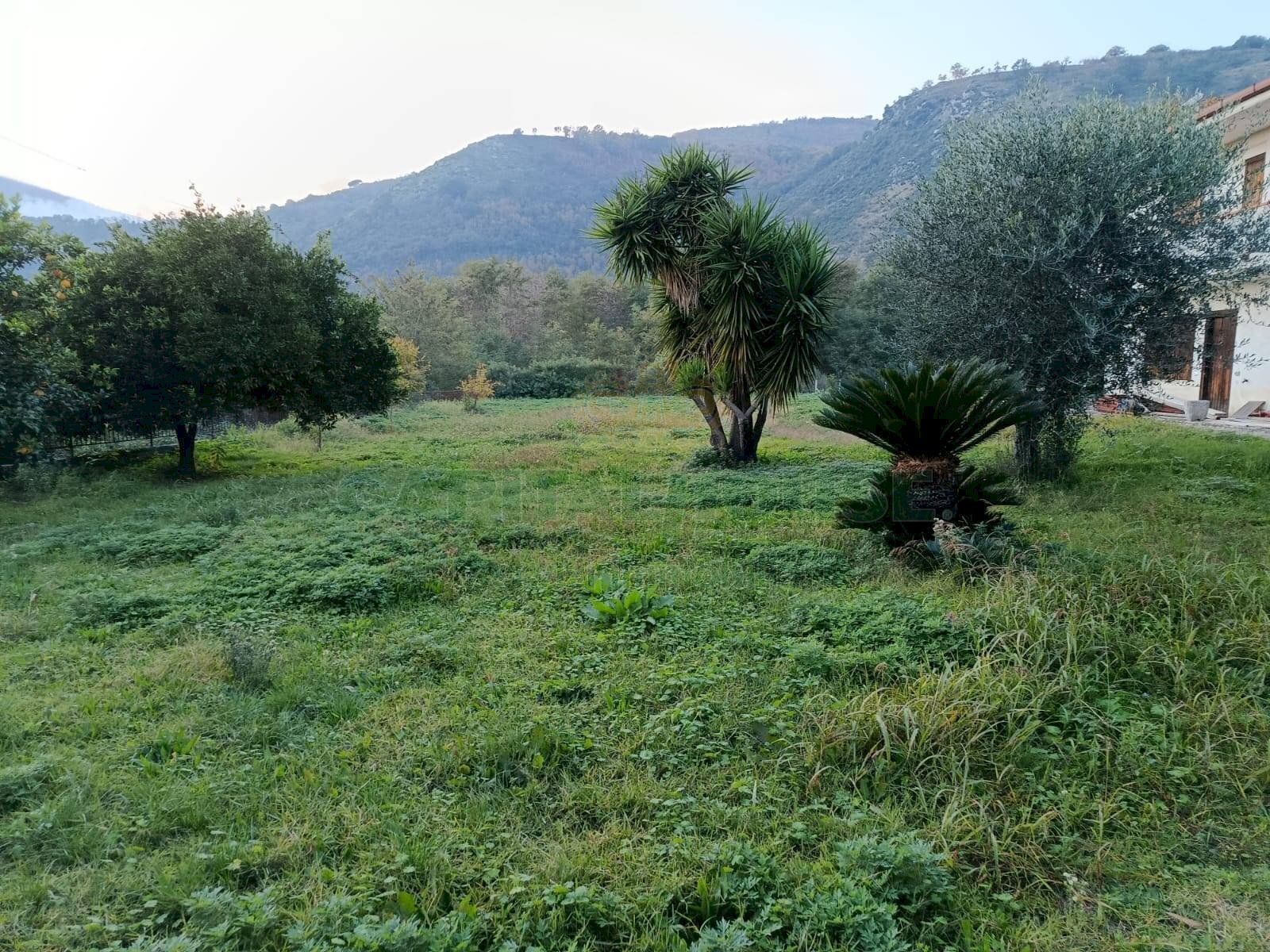 Foto 2 - Villa via sp 90, Montoro - foto 2