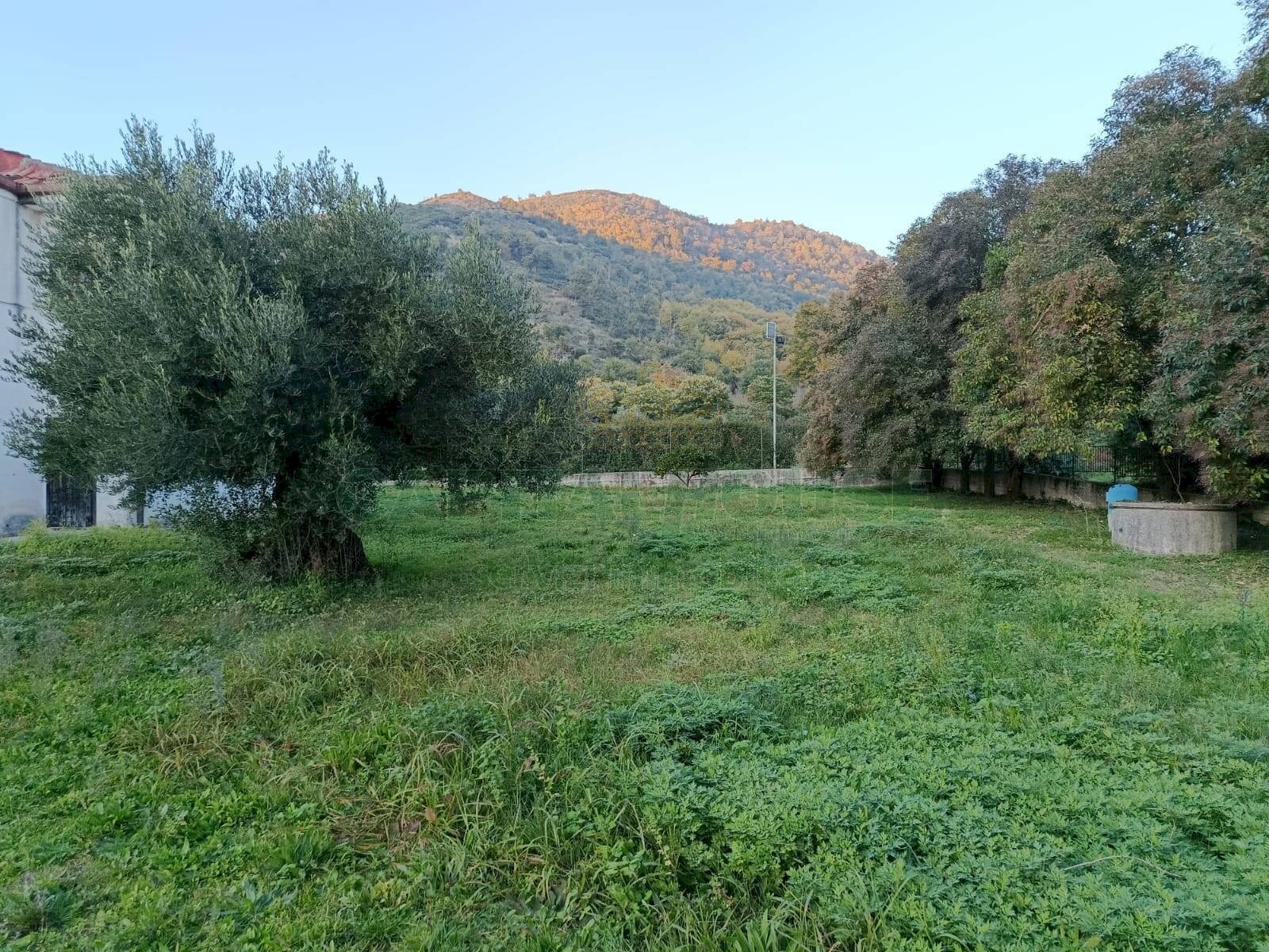 Foto 3 - Villa via sp 90, Montoro - foto 3