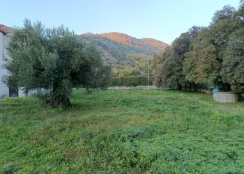 Foto 3 - Villa via sp 90, Montoro - foto 3