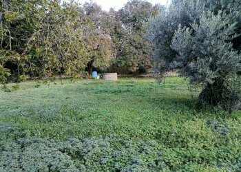 Foto 4 - Villa via sp 90, Montoro - foto 4