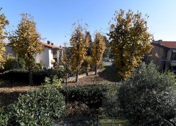 Foto 24 - Villa a Schiera Viale  piemonte, Vinovo - foto 24