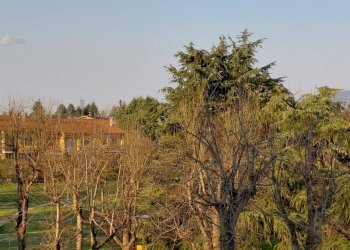 Foto 31 - Terraced Villa Viale  piemonte
 
21/8, Vinovo - photo 31