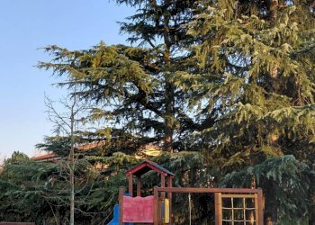 Foto 40 - Terraced Villa Viale  piemonte
 
21/8, Vinovo - photo 40