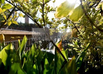 Foto 14 - Two-room apartment Viale Lancetti
 
40, Milano - photo 14