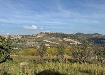 Foto 7 - Casa indipendente Contrada Rufiano
 
14, Castignano - foto 7