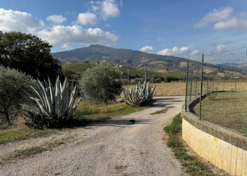 Foto 12 - Casa indipendente Contrada Rufiano
 
14, Castignano - foto 12