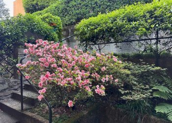 Giardino - Bilocale Via Roma
 
7, Porto Valtravaglia - foto 29