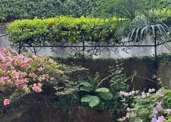 Giardino - Bilocale Via Roma
 
7, Porto Valtravaglia - foto 30
